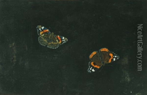 Zwei Schmetterlinge Oil Painting - Giovanna Garzoni
