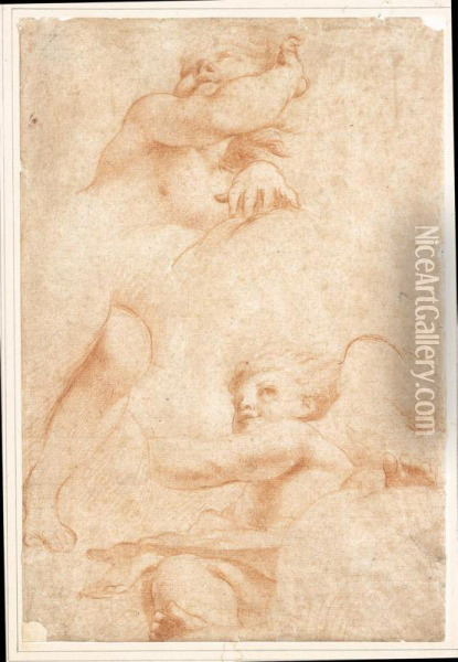 Studi Dal Correggio: Due Putti Oil Painting - Francesco Maria Rondani