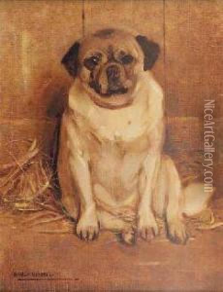 Study Of A Pug Oil Painting - Samuel Fulton
