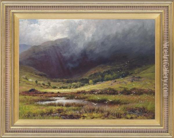 A Moorland Landscape In The Mist Oil Painting - Charles Stuart