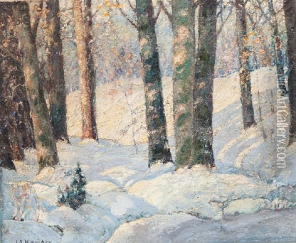 Snow Banks Oil Painting - Walter Koeniger