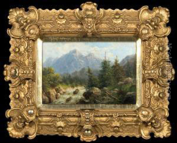 Mountain Landscape With Rushing Torrents Oil Painting - Karl Julius Rose