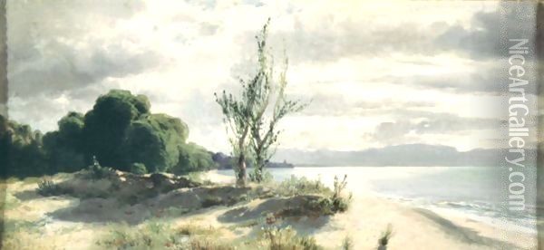 View Of The Lake Of Geneva, Near Evian Oil Painting - Alexandre Calame