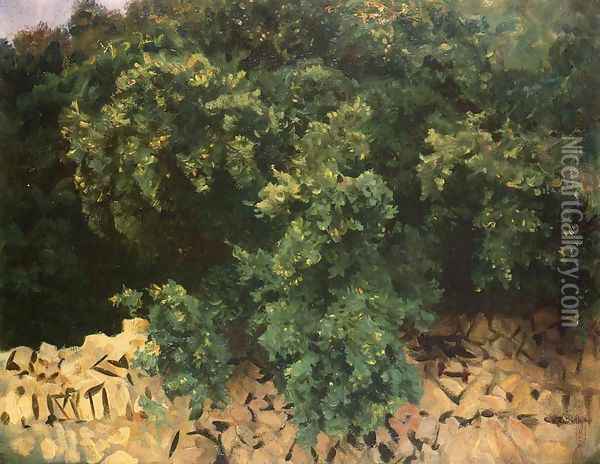 Ilex Wood, Majorca Oil Painting - John Singer Sargent