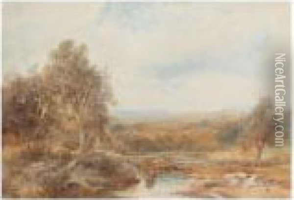 Little Budworth, Near Chester; Lledr Valley, N. Wales Oil Painting - Albert Pollitt