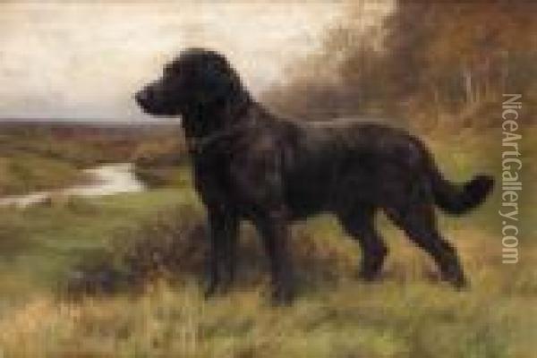 On Alert A Black Labrador Oil Painting - Herbert Thomas Dicksee