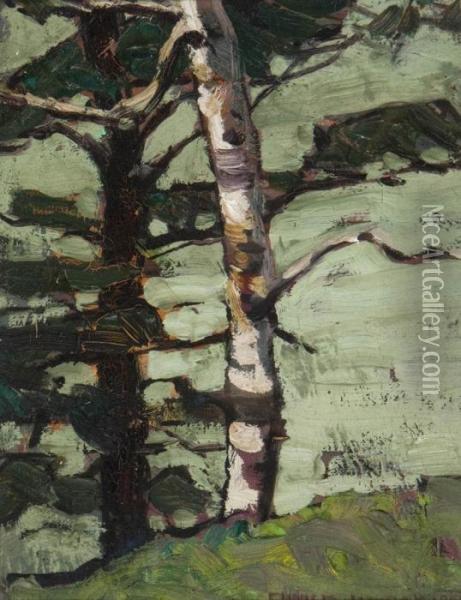 Trees At Rosebank On Lake Ontario, Neartoronto. Oil Painting - Farquhar Mcgillivr. Knowles