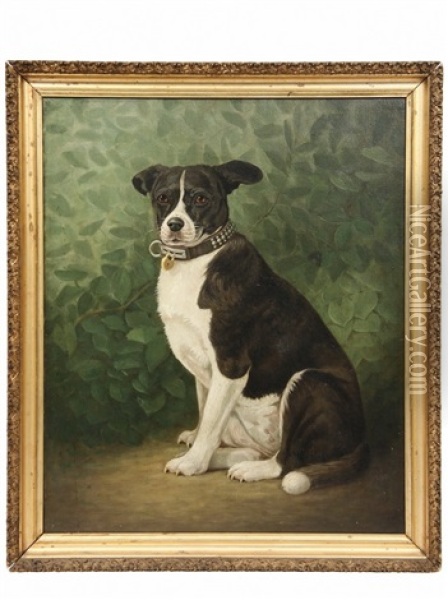 Dog Sitting Oil Painting - Percy A. Sanborn