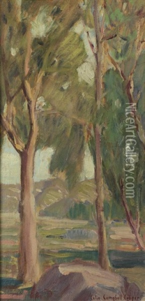 Eucalyptus Grove Oil Painting - Colin Campbell Cooper