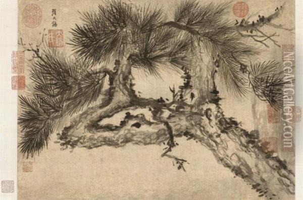 Pine Tree Oil Painting - Sa Tianxi