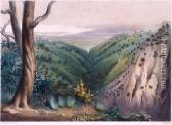 View From Mt Lofty Looking Over The Plains Of Adelaide Oil Painting - George French Angas