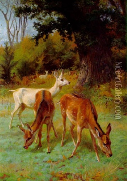 Damwild Oil Painting - Adolf Heinrich Mackeprang