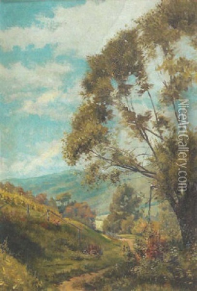 Landschaft Bei Plankenberg Im Wienerwald Oil Painting - Emil Jacob Schindler