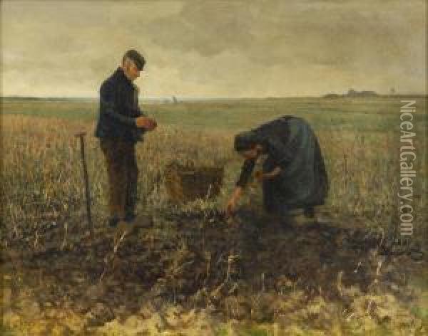 Kartoffelernte. Oil Painting - Gerrit Willem Van Blaaderen