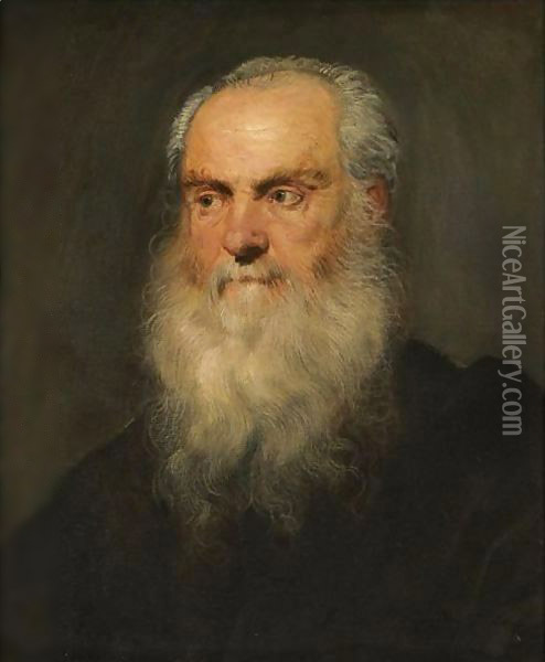 Portrait Of A An Elderly Bearded Man, Head And Shoulders Oil Painting - Jacopo Tintoretto (Robusti)