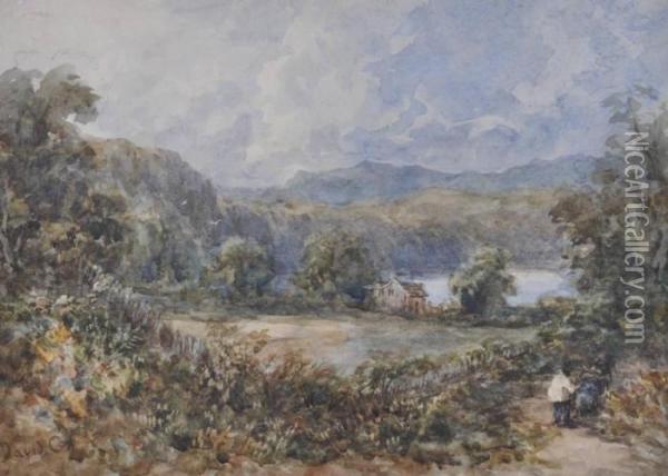 Figure On A Track Near A Lakeside Cottage Oil Painting - David I Cox