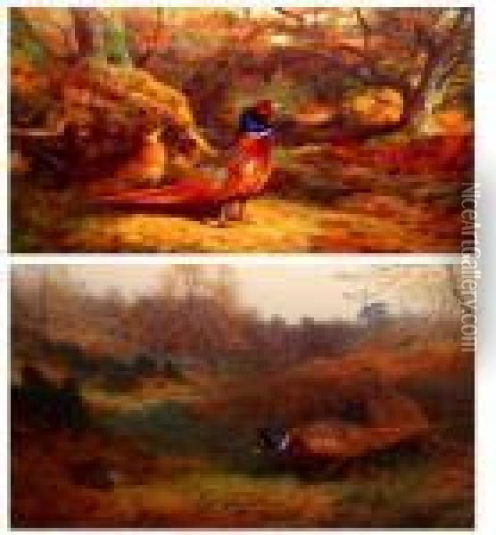 Pheasants In Woodland Oil Painting - Archibald Thorburn