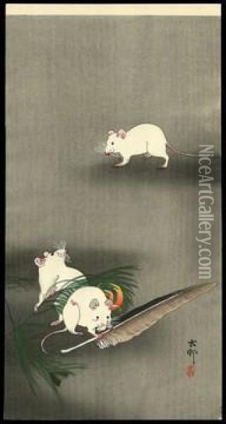 Three Mice, One Of Them Nibbling A Feather Oil Painting - Ohara Koson