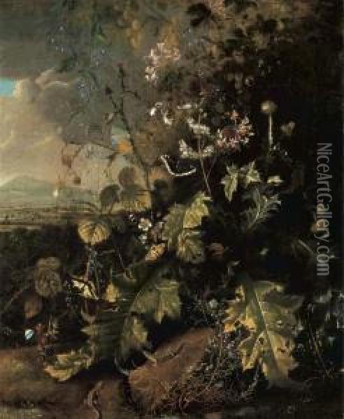 A Forest Floor With Butterflies And Lizards Oil Painting - Mathias Withoos