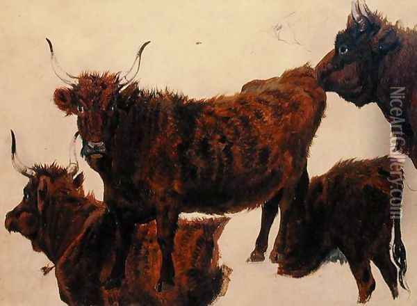 Studies of Highland Cattle Oil Painting - Richard Ansdell