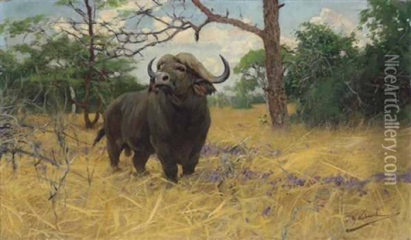A Kaffir Buffalo In The Savannah Oil Painting - Wilhelm Friedrich Kuhnert
