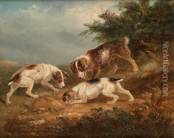 Chiens Terriers Oil Painting - George A. Smith