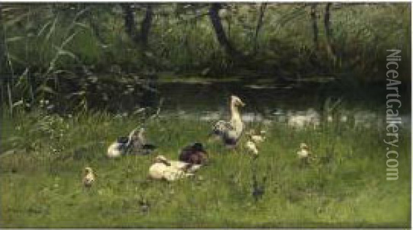 Ducks And Their Ducklings By The Waterside Oil Painting - Willem Maris
