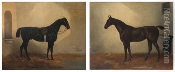 Pendantgemalde Zweier Vollblut-rennpferde (pair) Oil Painting - Alfred Grey