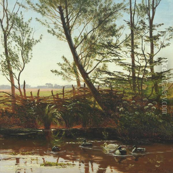 Ducks In The Lake Oil Painting - Hans Ole Brasen