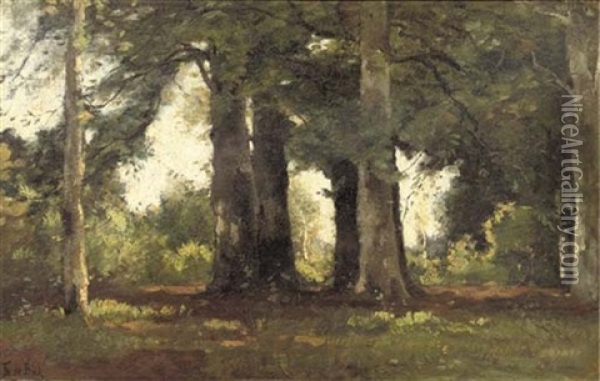A Forest Oil Painting - Theophile De Bock