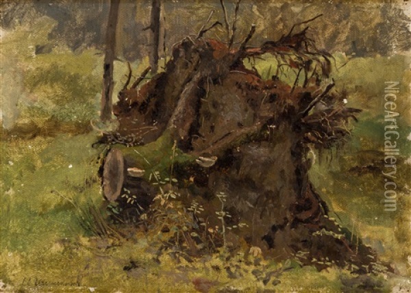 Uprooted Stump In A Forest Oil Painting - Iwan Iwanowicz Shishkin