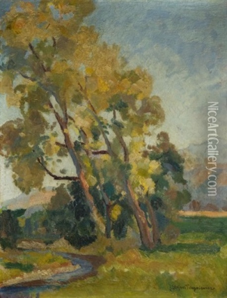 Landscape With Trees Oil Painting - Stefan Filipkiewicz