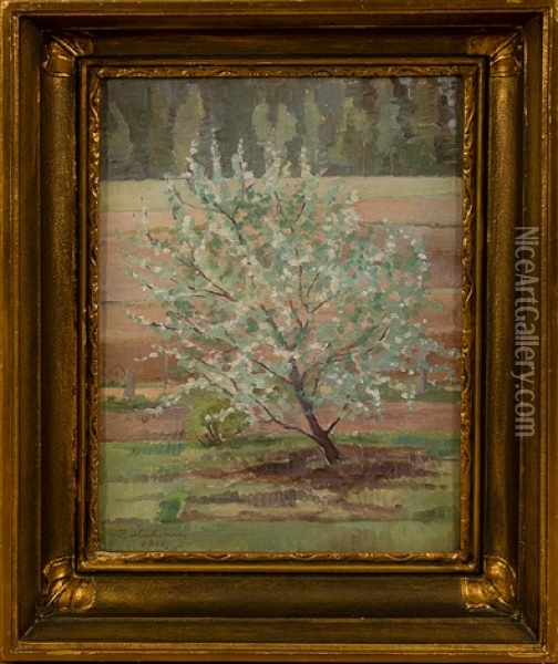 Apple Tree Oil Painting - Pekka Halonen
