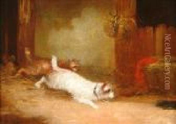 Terriers Ratting Apair Oil Painting - George Armfield