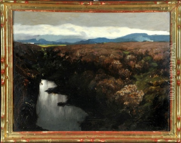 Sumpflandschaft Mit Bergen Im Hintergrund Oil Painting - Albert Stagura