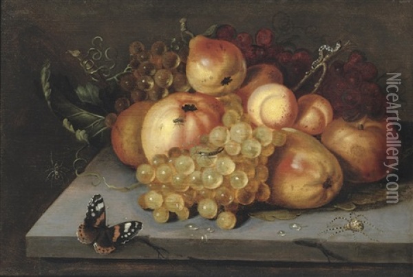 Apples, Grapes, Pears And Apricots On A Stone Ledge With A Butterfly, And Spiders Nearby Oil Painting - Jacob Woutersz Vosmaer