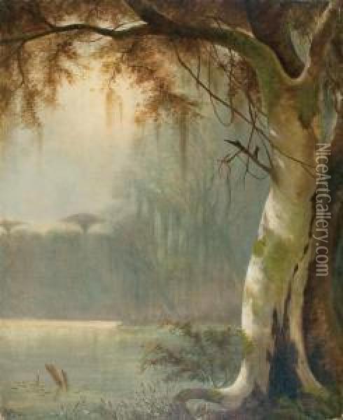 On The Banks Of A Louisiana Bayou Oil Painting - Joseph Rusling Meeker