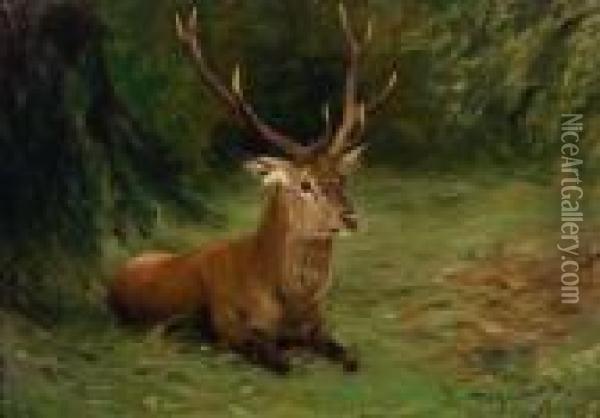 Stag Oil Painting - Wilhelm Kuhnert