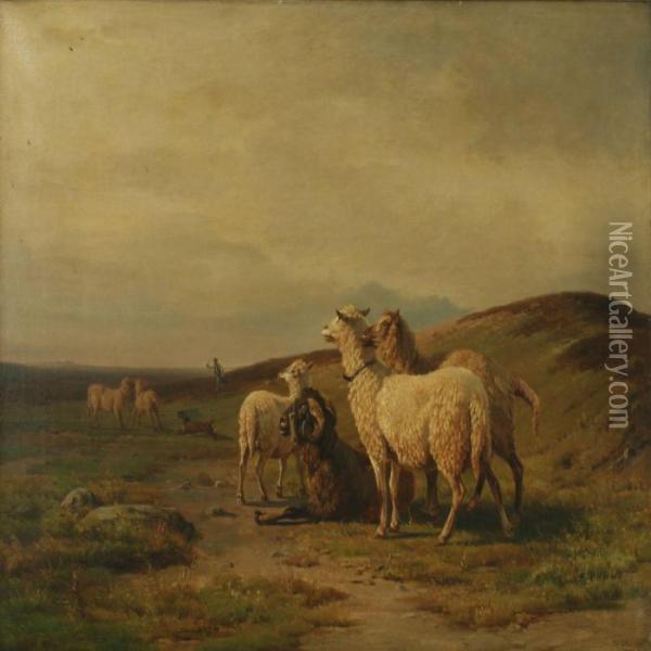 Landscape With A Dog, Sheep And Theirpasture Oil Painting - Wilhelm Zillen