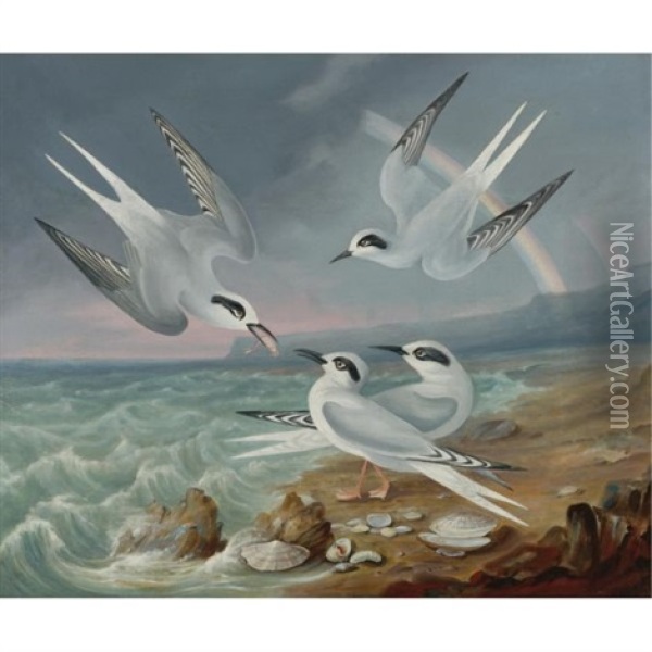 Havell Terns At The Shore Oil Painting - Robert Havell Jr.