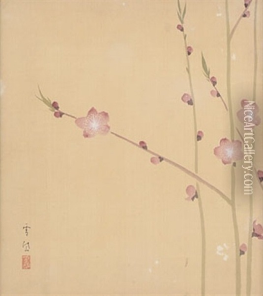 Plum Blossom Oil Painting - Settai Komura