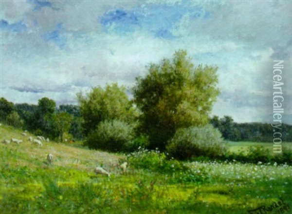 Sheep In A Pasture Oil Painting - Frederick Rondel