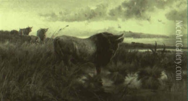 Bulls In A Landscape Oil Painting - Pietro Barucci