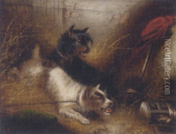 An Audacious Thief Oil Painting - Edward Armfield