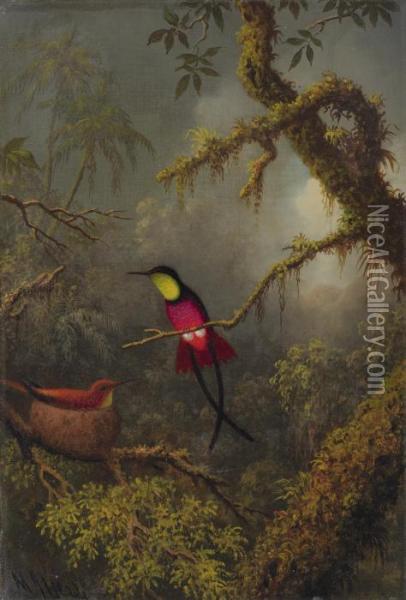 Nesting Crimson Topaz Hummingbirds Oil Painting - Martin Johnson Heade