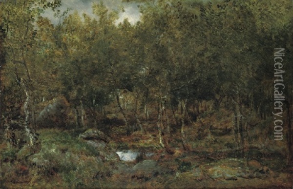 Les Vieux Bouleaux Au Plateau De Bellecroix En Foret De Fontainebleau Oil Painting - Theodore Rousseau