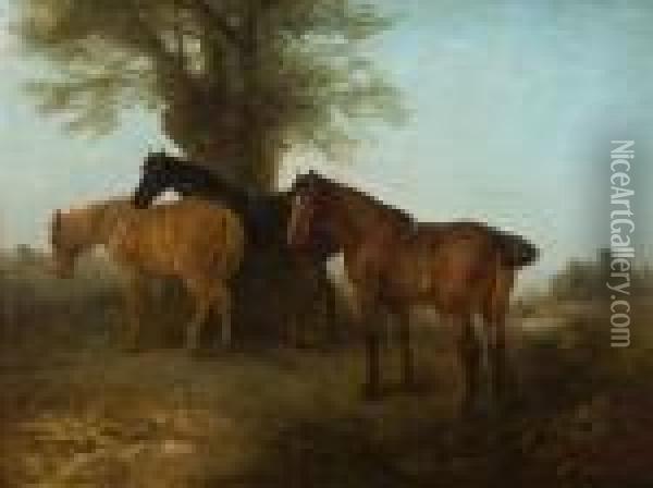 Horses Sheltering Under A Tree Oil Painting - Edward Robert Smythe