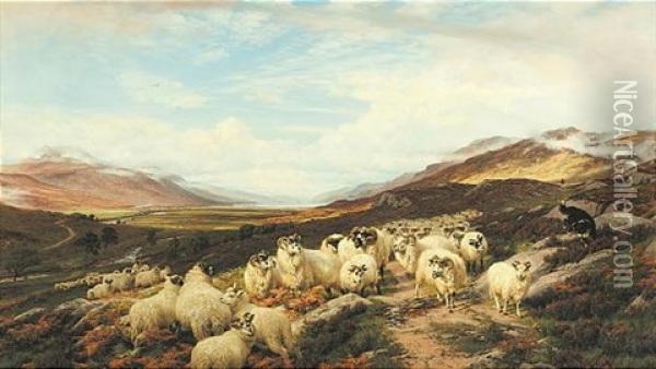 Gathering The Flocks, Loch Maree Oil Painting - Henry William Banks Davis