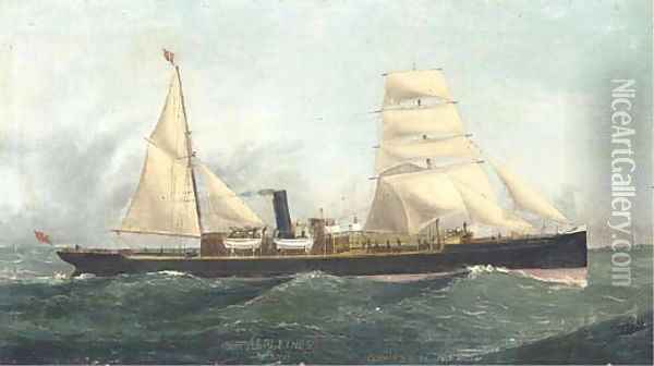 The auxiliary steamer Ardlethen of Aberdeen Oil Painting - John Henry Mohrmann