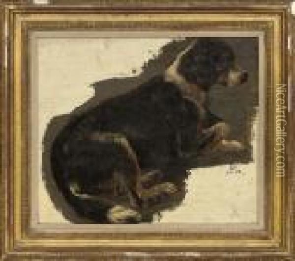 Study Of A Sheep Dog Oil Painting - Landseer, Sir Edwin